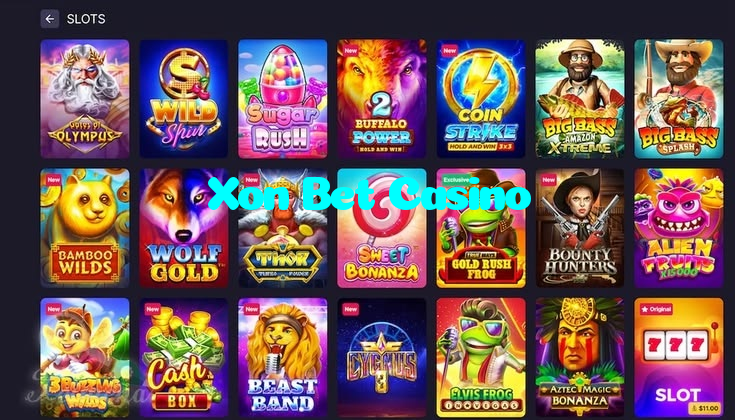 available types of Xon Bet Casino bet including pre-match live express and system bets